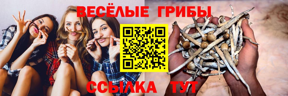 Берёзовский  Галлюциногенные грибы мицелий  Вход с VPN 